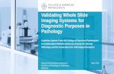 validating whole slide imaging for diagnostic purposes in ...