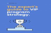 The expert’s guide to VIP program strategy.
