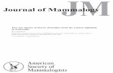 Journal of Mammalogy - repository.si.edu
