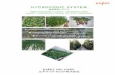 Field hydroponic system・Strawberry field N-BOX・Hydroponics ...