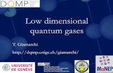 Low dimensional quantum gases