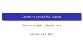 Geometric derived Hall algebra - 名古屋大学