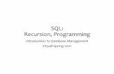 SQL: Recursion, Programming