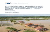 FLOOD PREVENTION AND MANAGEMENT Gap analysis and …