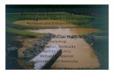 Removal and Restoration of In-stream Sediment Ponds: Part ...