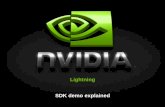 Lightning SDK Demo - Nvidia