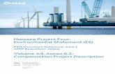 Hornsea Project Four: Environmental Statement (ES)