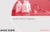 A guide to AML/CFT regulations - AML UAE