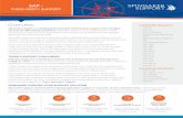 SAP Brochure - Oracle, SAP and Salesforce