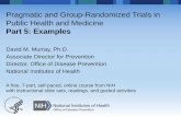 Pragmatic and Group-Randomized Trials in Public Health and ...