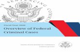 FY 2020 Overview of Federal Criminal Cases