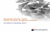Dental Hard- and Soft Tissue Regeneration