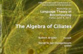 The Algebra of Ciliates