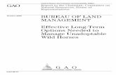 GAO-09-77 Bureau of Land Management: Effective Long-Term ...