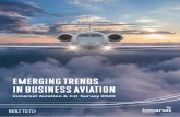 Emerging Trends in Business Aviation