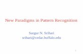 New Paradigms in Pattern Recognition