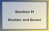 Section H Bladder and Bowel
