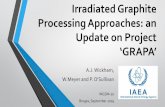 Developments and Challenges in Graphite Management