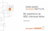 My experience as MSC individual fellow