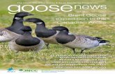 ISSUE No. 14 | AUTUMN 2015 Brent Goose expedition to the ...