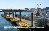 Massachusetts Division of Marine Fisheries 2020 Annual Report