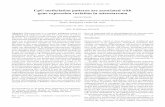 CpG methylation patterns are associated with gene ...