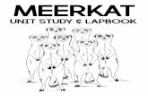 MEERKAT - homeschoolshare.com