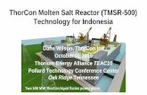 ThorCon Molten Salt Reactor (TMSR-500) Technology for ...