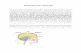 Introduction to Nervous System - sudhirneuro.org