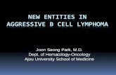 New Entities in Aggressive B cell Lymphoma