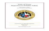 Annual Audit Plans - State of Texas Department of Public ...