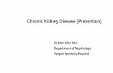 Chronic Kidney Disease (Prevention)