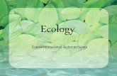 Ecology Notes - wadsworth.k12.oh.us