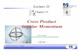 Cross Product Angular Momentum