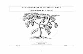 CAPSICUM & EGGPLANT NEWSLETTER