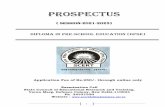 Prospectus 2021 DPSE Pvt. Institute on 28.07.2021 1