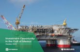 Investment Opportunity in the Gulf of Mexico