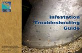 Infestation Troubleshooting Guide