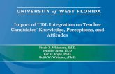 Impact of UDL Integration on Teacher
