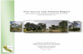 Oak Tree Survey and Arborist Report