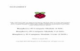 Raspberry Pi Compute Module (CM1) Raspberry Pi Compute