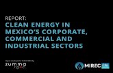 REPORT: CLEAN ENERGY IN MEXICO’S CORPORATE, …