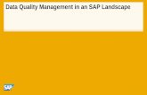 Data Quality Management in an SAP Landscape