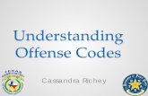 Understanding Offense Codes - Texas Department of Public ...