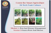 Center for Smart Agriculture Hi Tech Fruit Culture