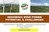 WIND POWER INVESTMENT IN INDONESIA