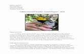 Golden-cheeked Warbler Annual Report 2020