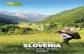 FOLLOW THE BEES SLOVENIA