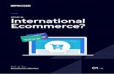 WHAT IS International Ecommerce?