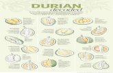 210711 SunLife - Durian Decoded - Cheat Sheet
